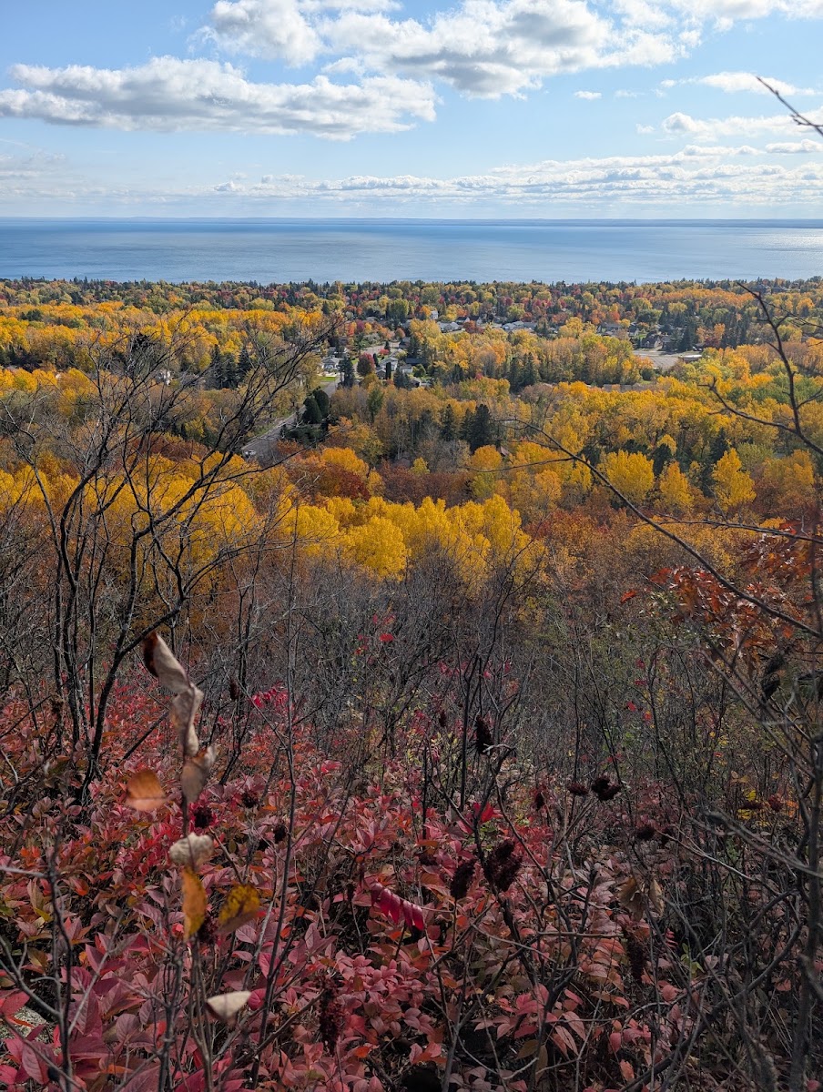 Hawk Ridge Nature Reserve