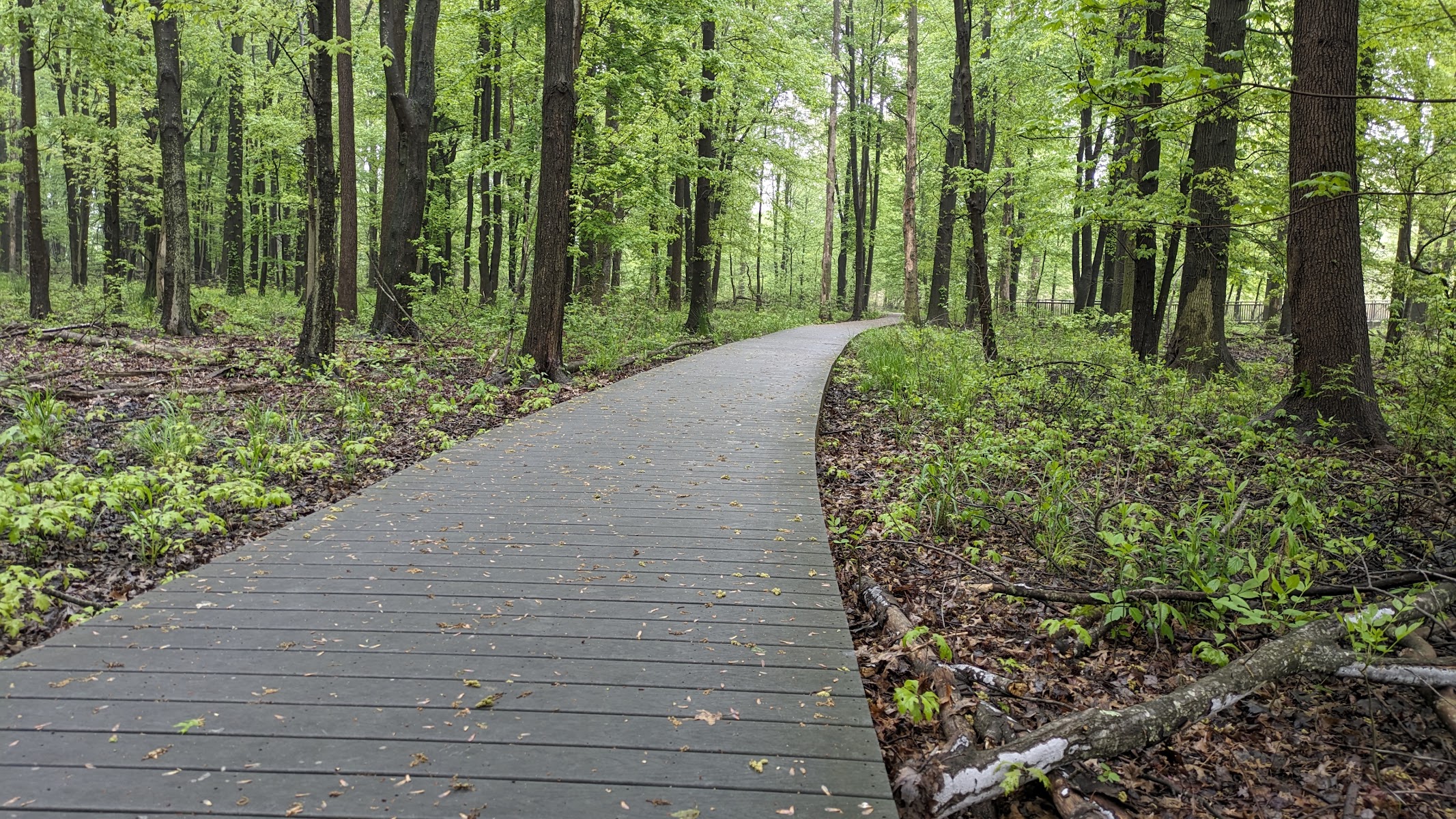 Hawk Rise Sanctuary