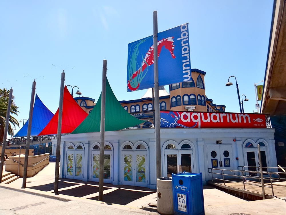 Heal the Bay Aquarium