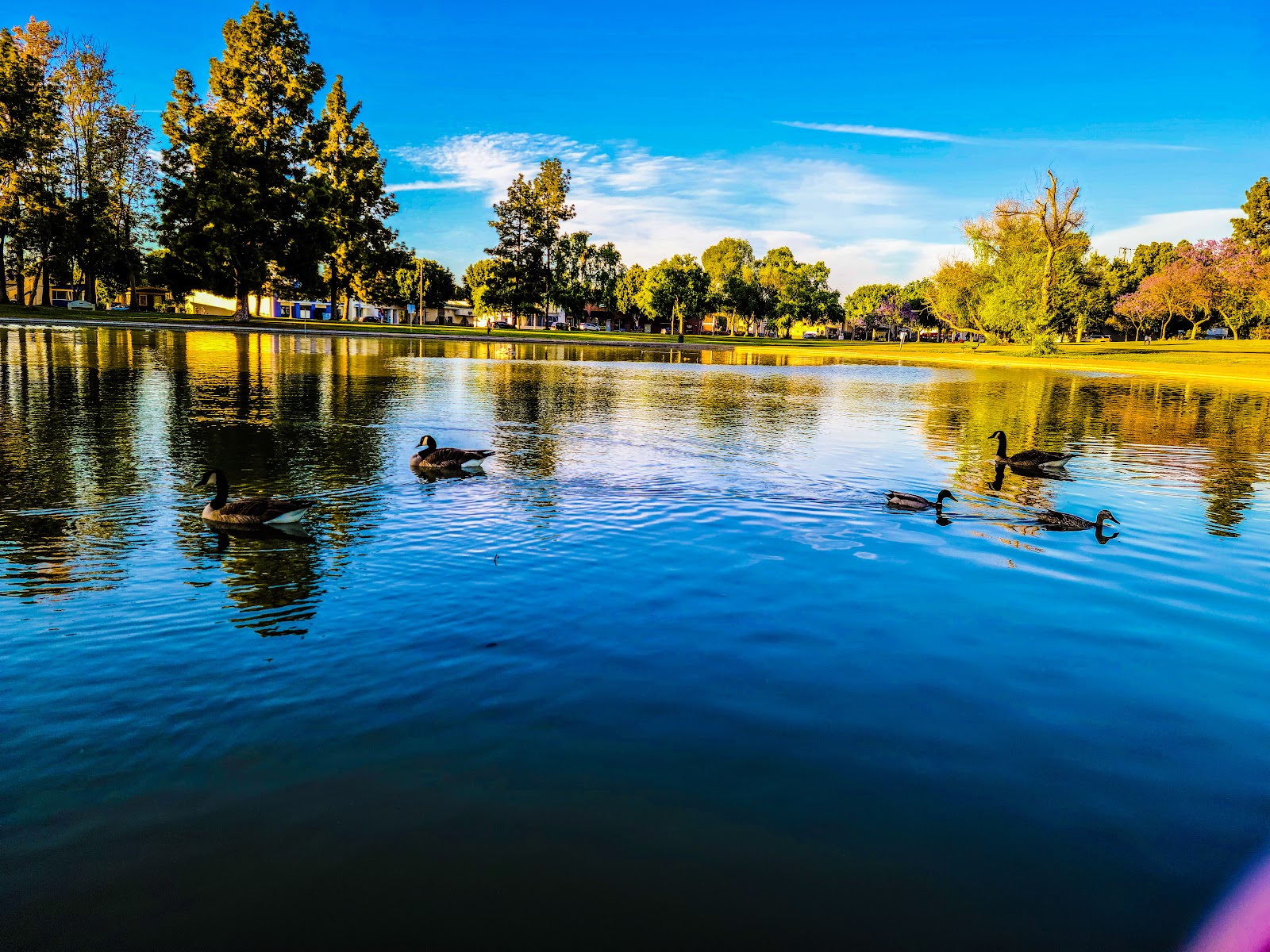 Heartwell Park