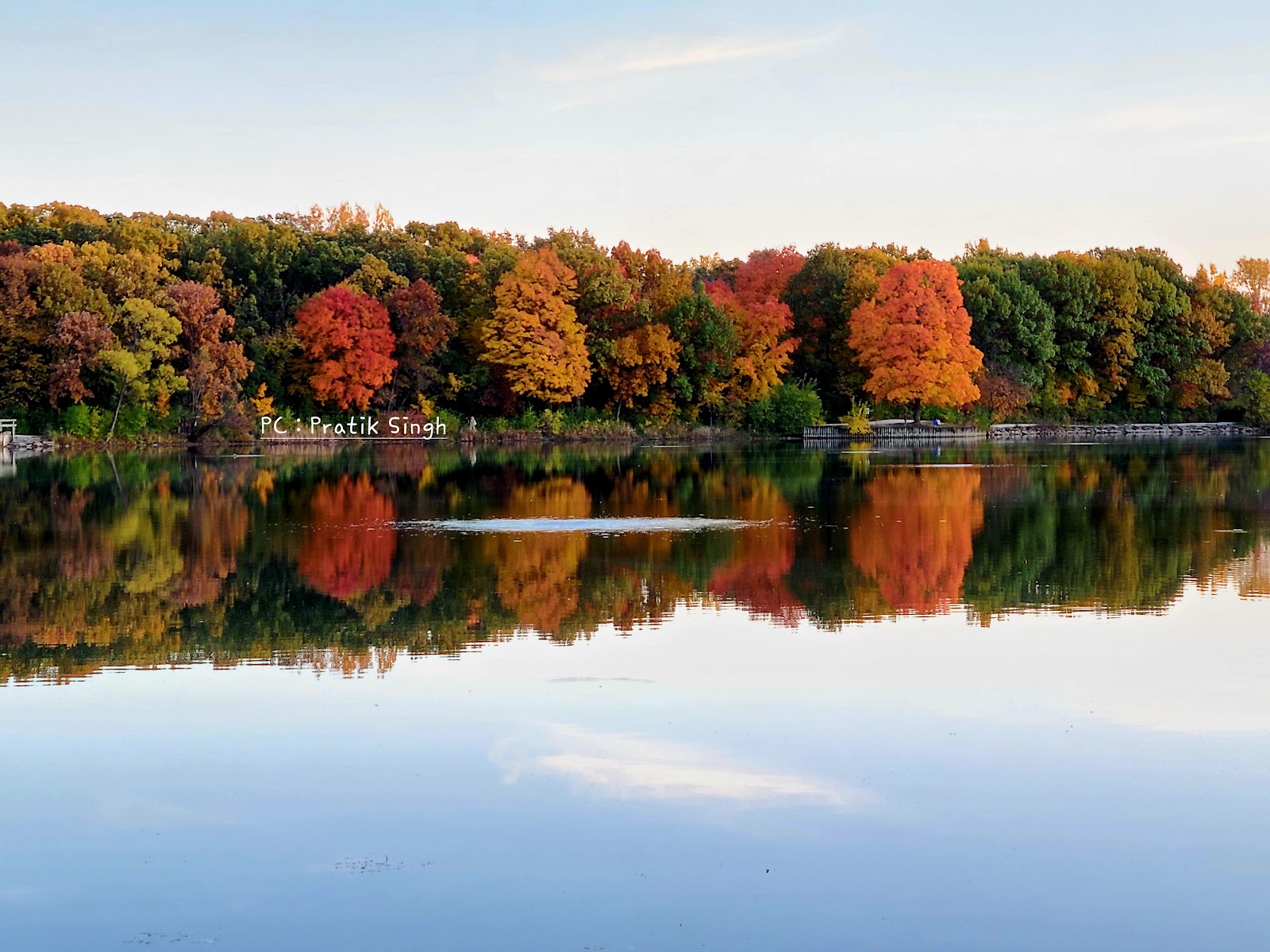 Herrick Lake Forest Preserve