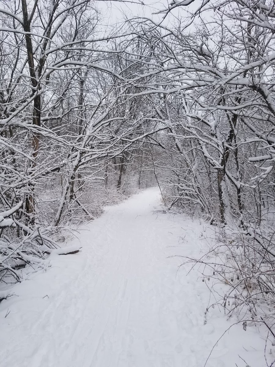 Hickory Hill Park