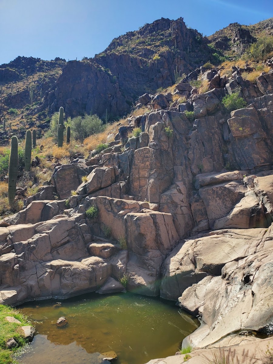Hieroglyphic Trailhead