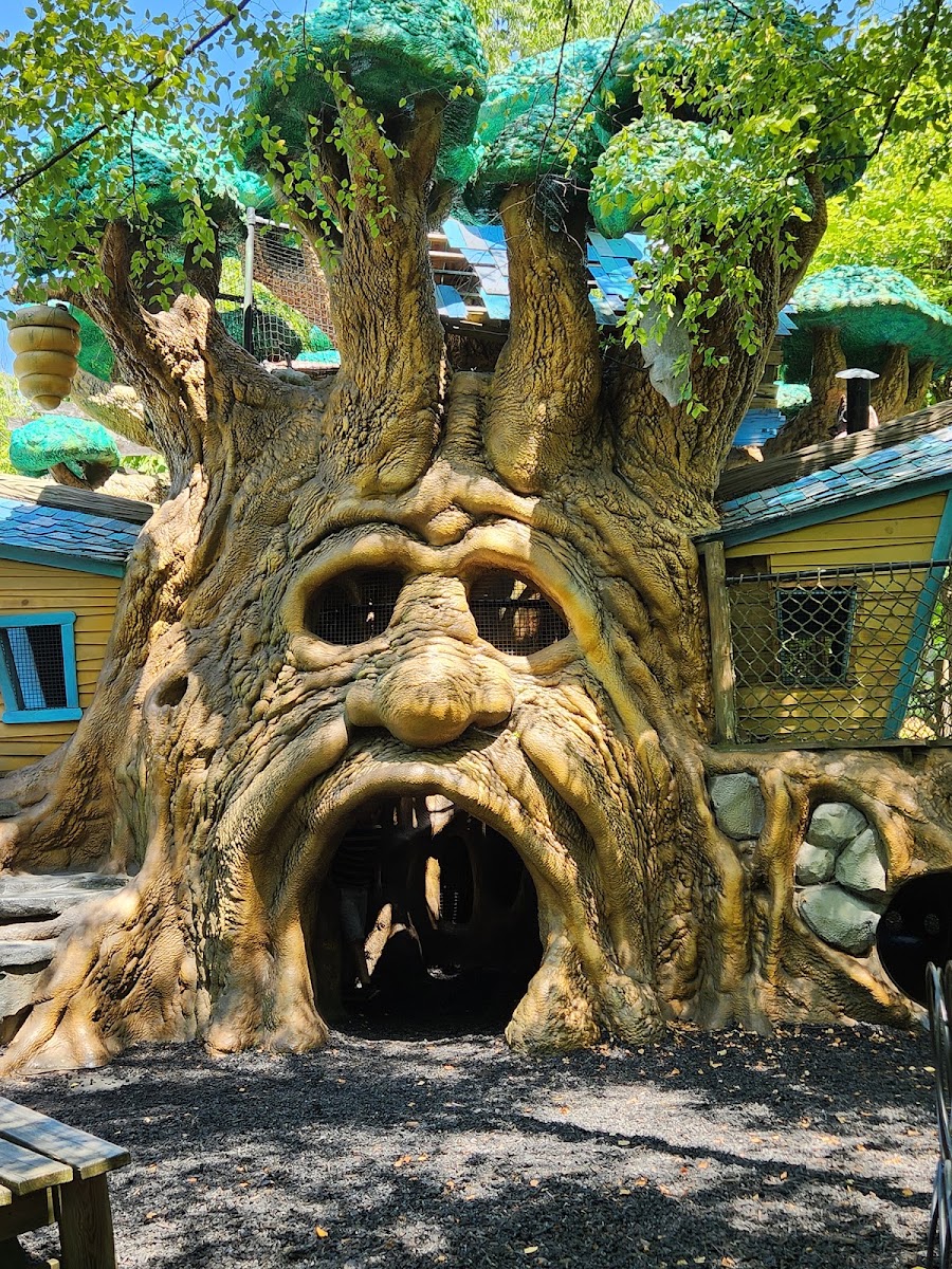 Highfield Discovery Garden