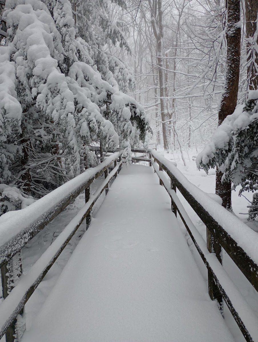 Hogback Ridge Park