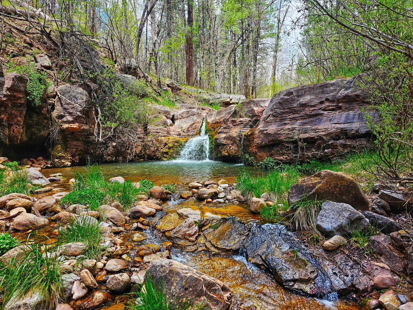 Horton Creek Trailhead