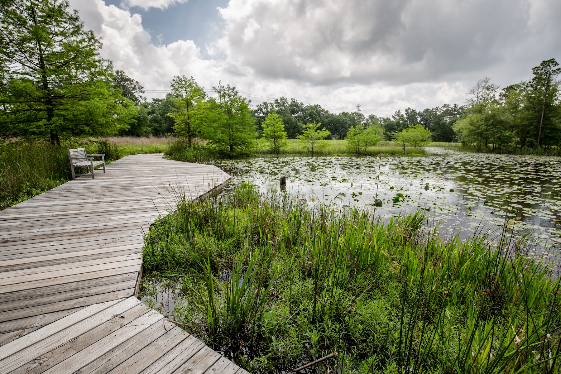 Nature Trails & Breakfast in Memorial Park