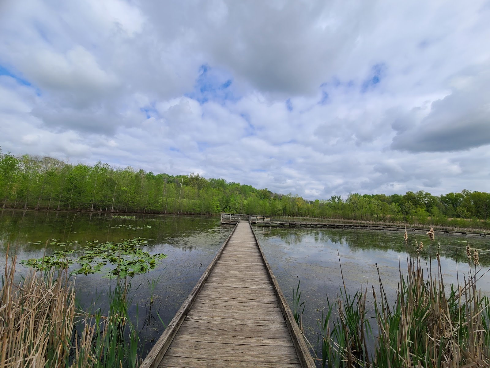Howell Wetlands