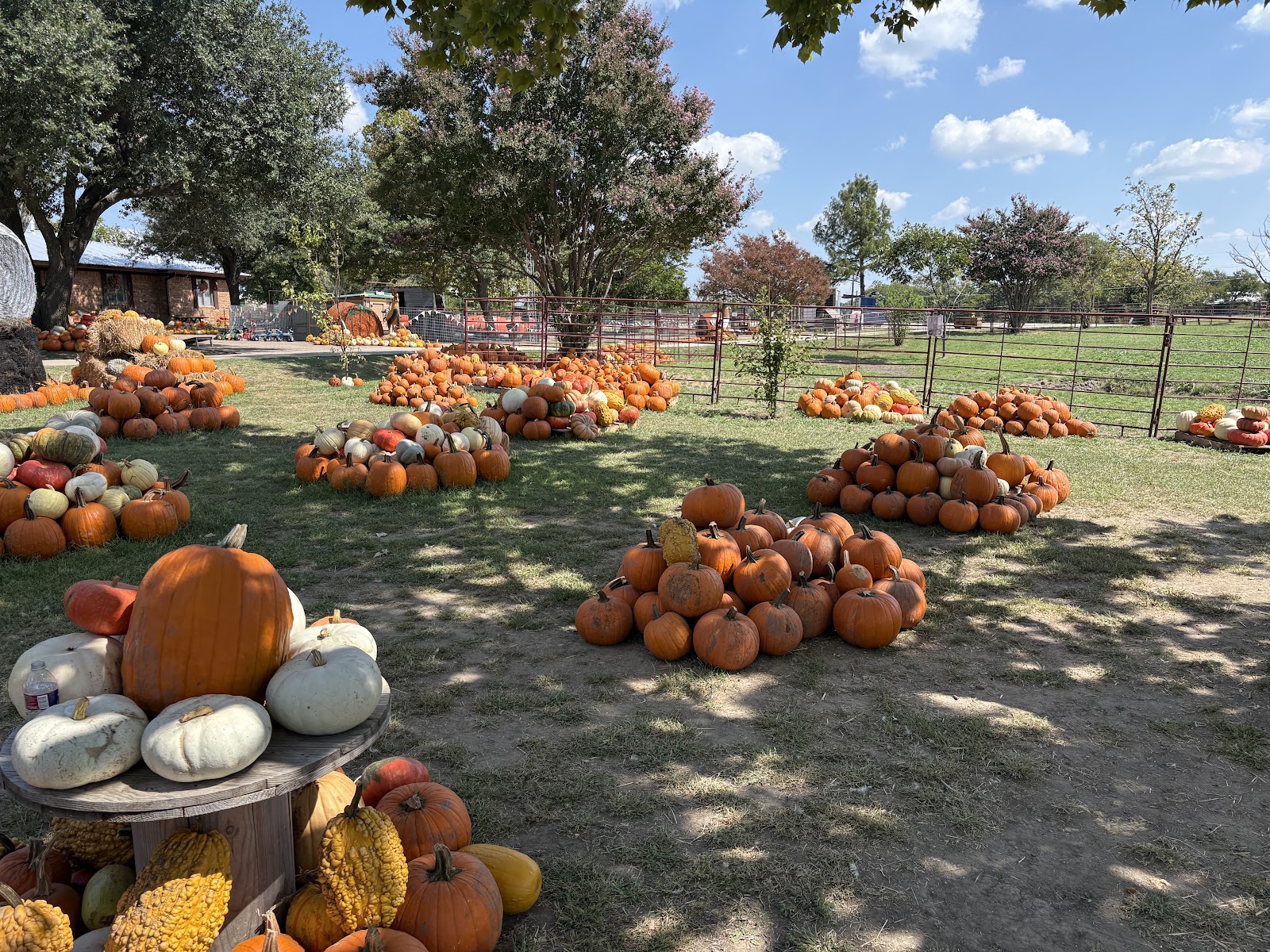 Huddin Homestead Fun Farm