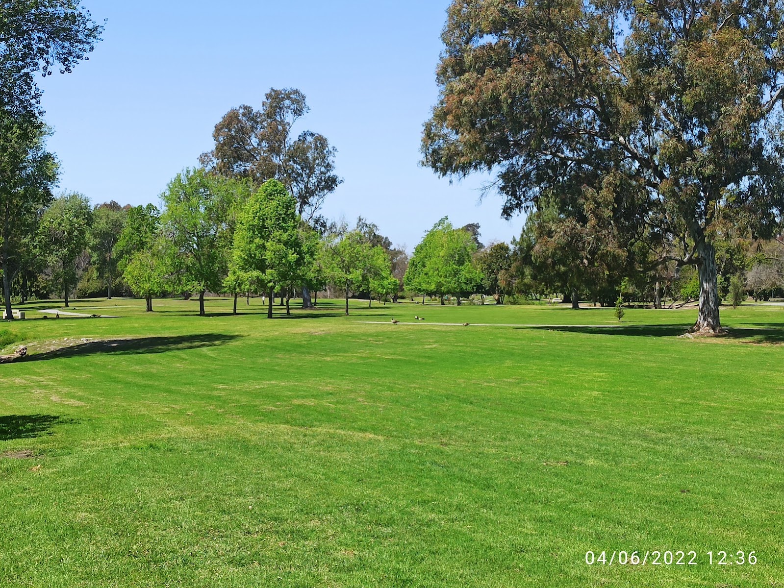 Huntington Beach Central Park East