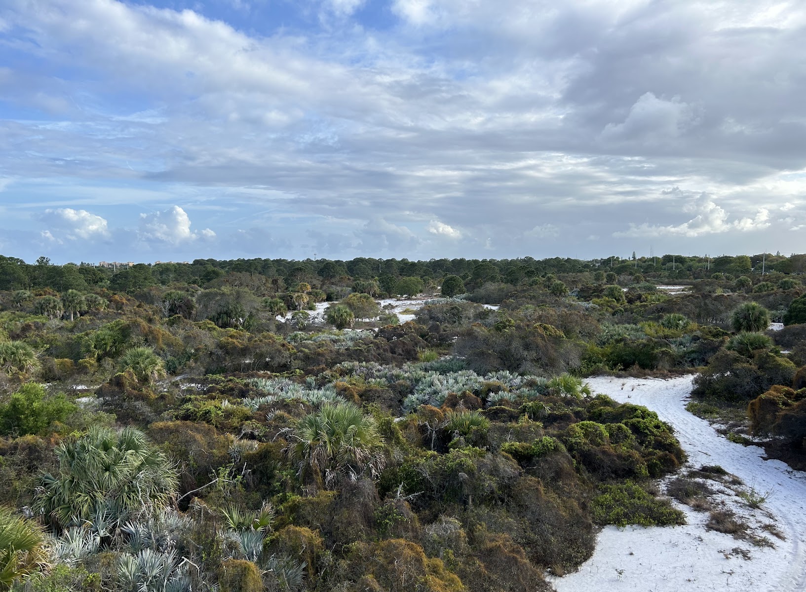 Hypoluxo Scrub Natural Area