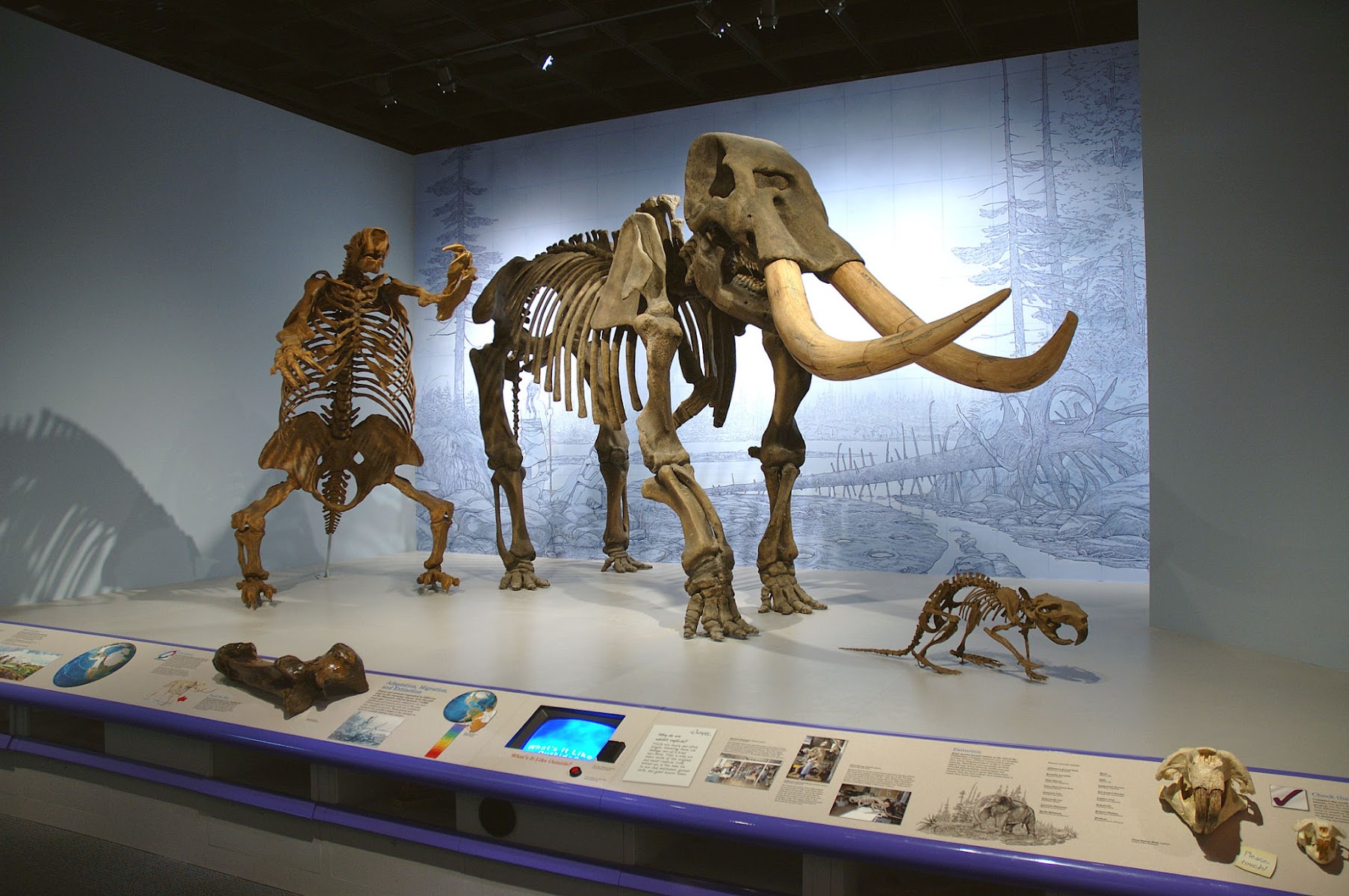 Illinois State Museum