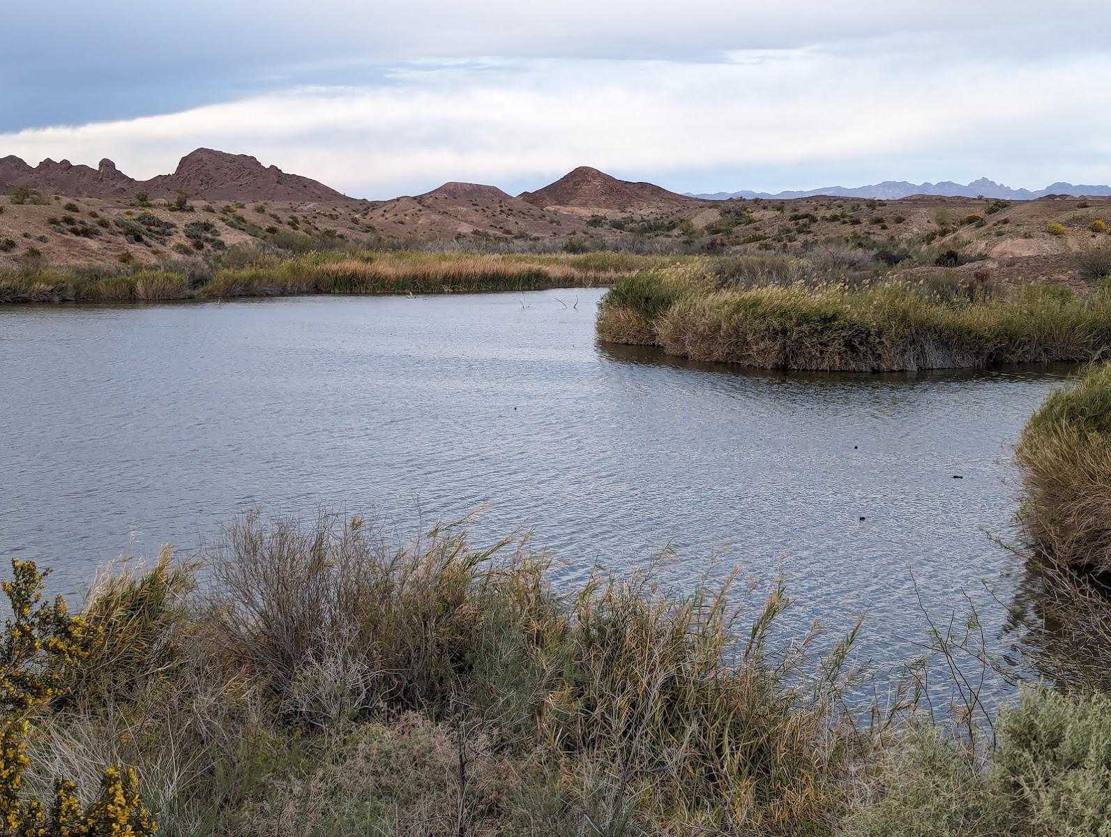 Imperial National Wildlife Refuge