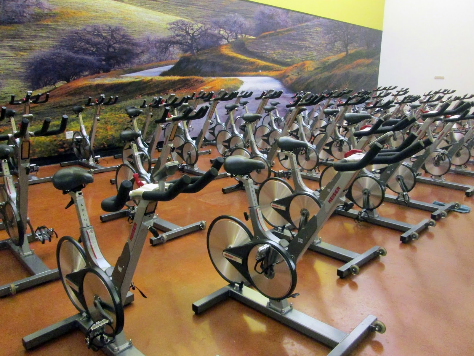 In-Shape Fitness