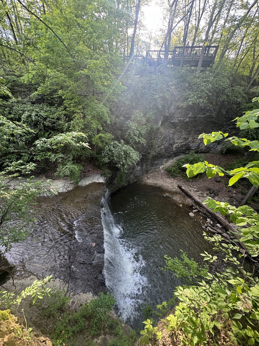 Indian Run Falls