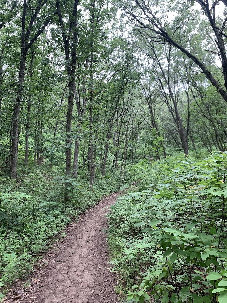 Indiana Dunes National Park Cowles Bog Trailhead