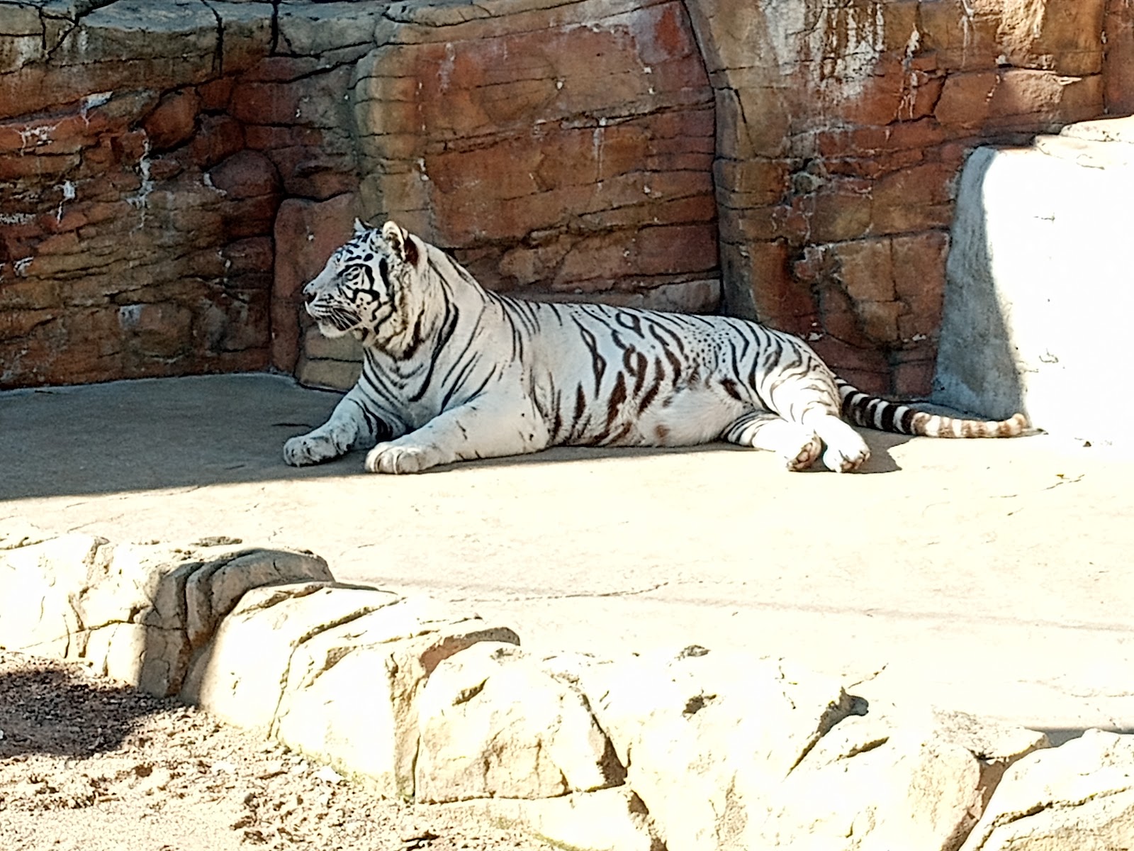 Irvine Park Zoo