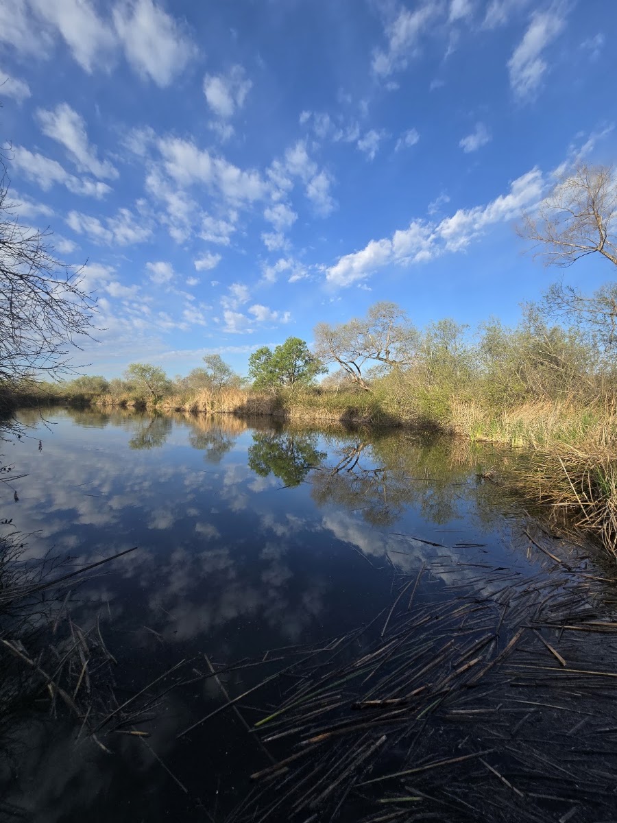 IRWD San Joaquin Marsh & Wildlife Sanctuary