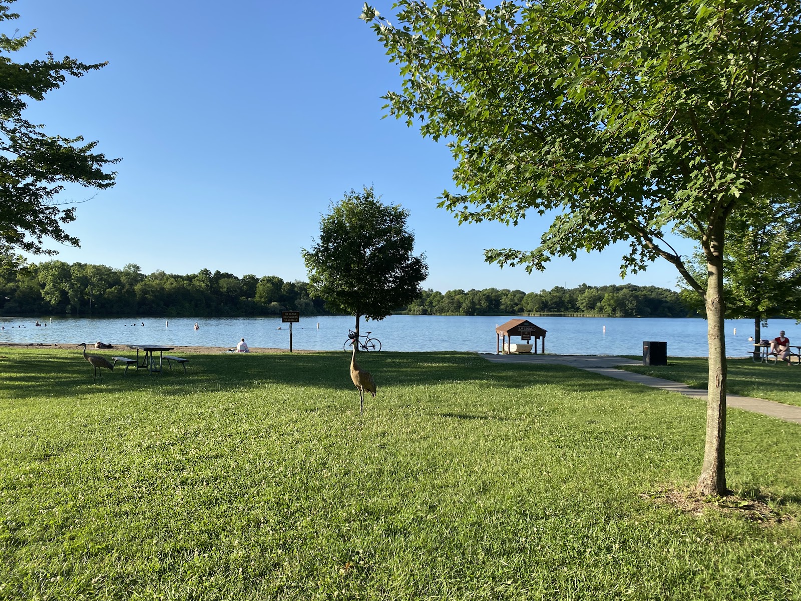 Island Lake Recreation Area