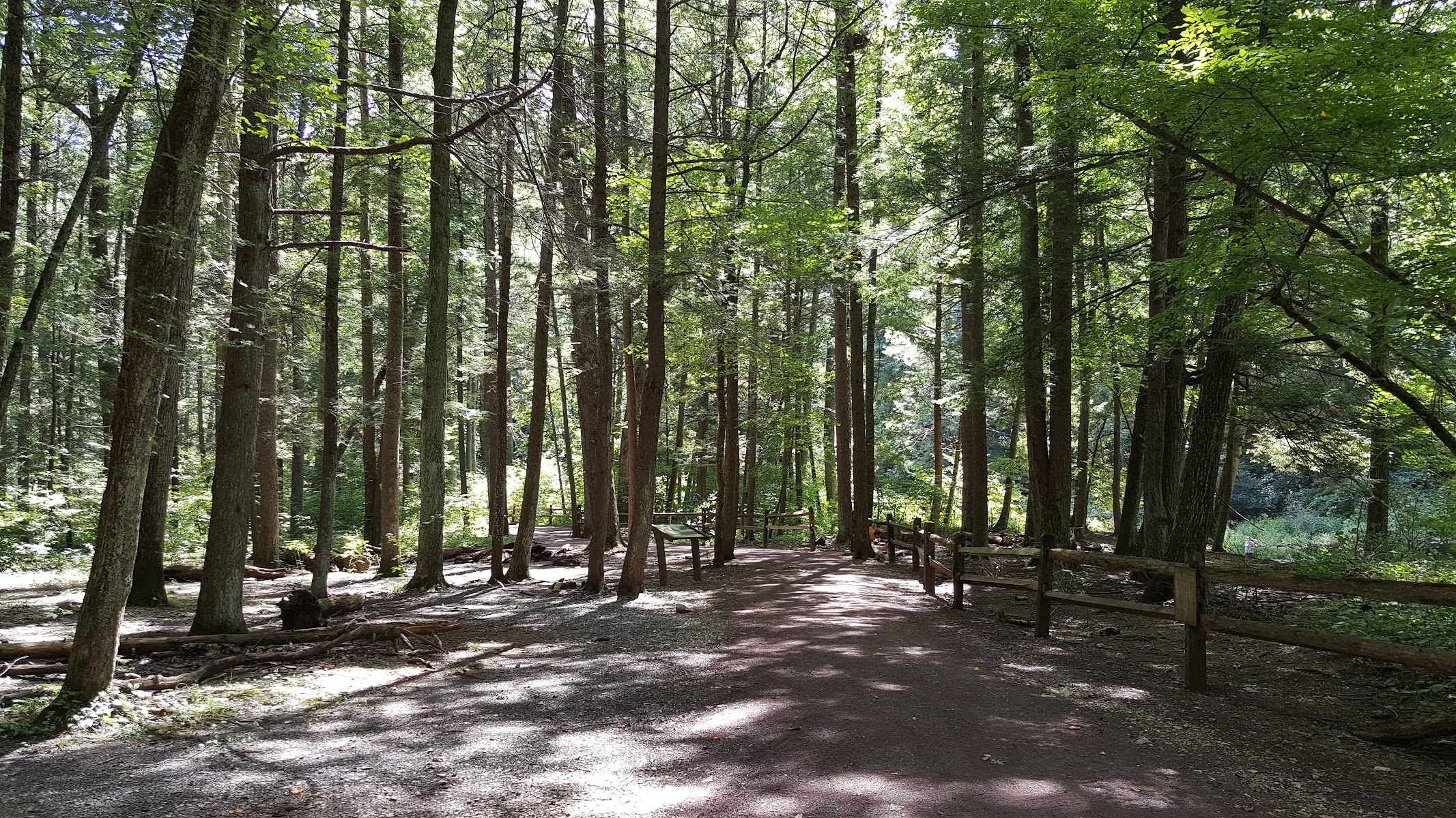 Jacobsburg Environmental Education Center