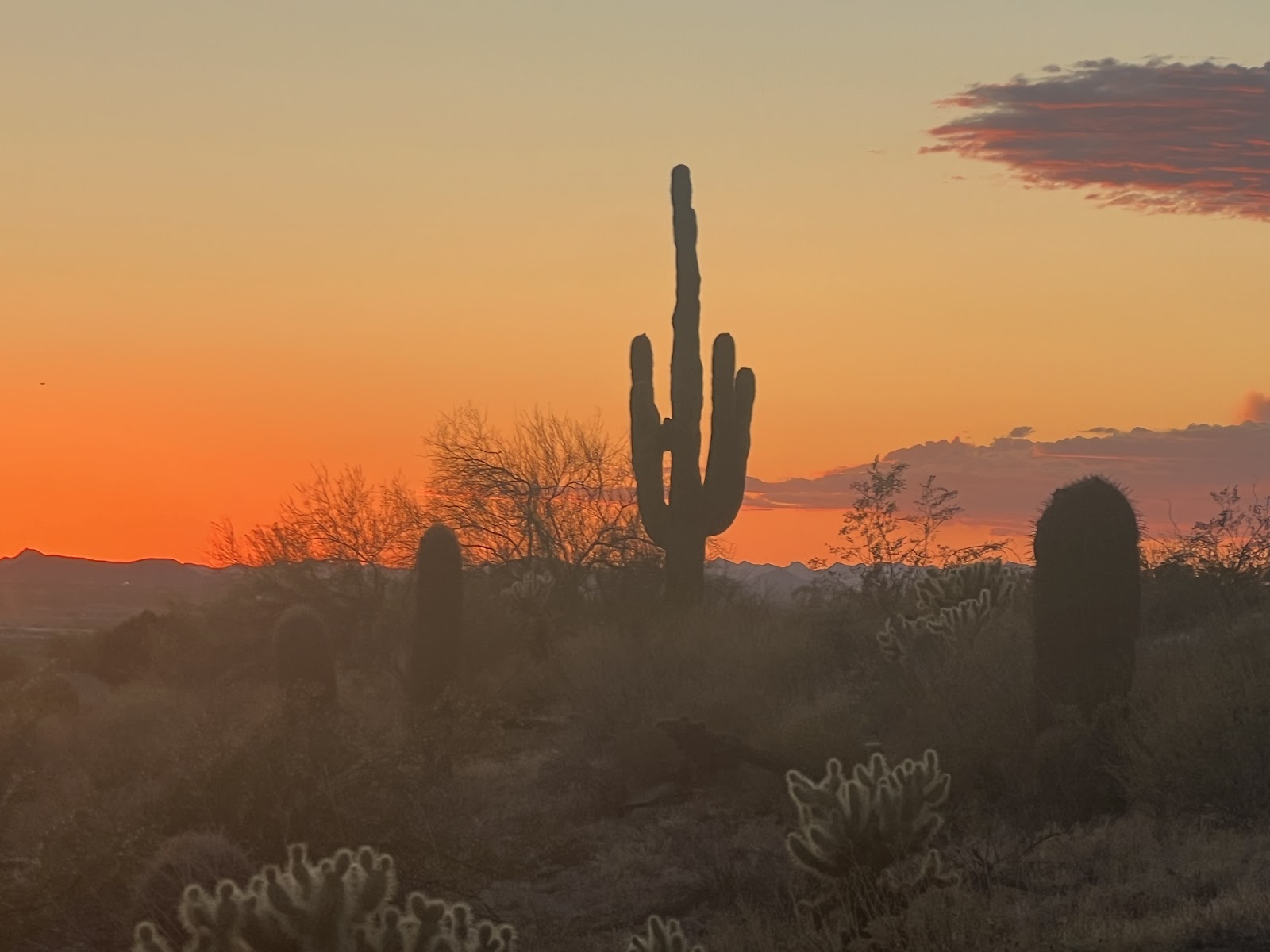 Javelina Trail Head