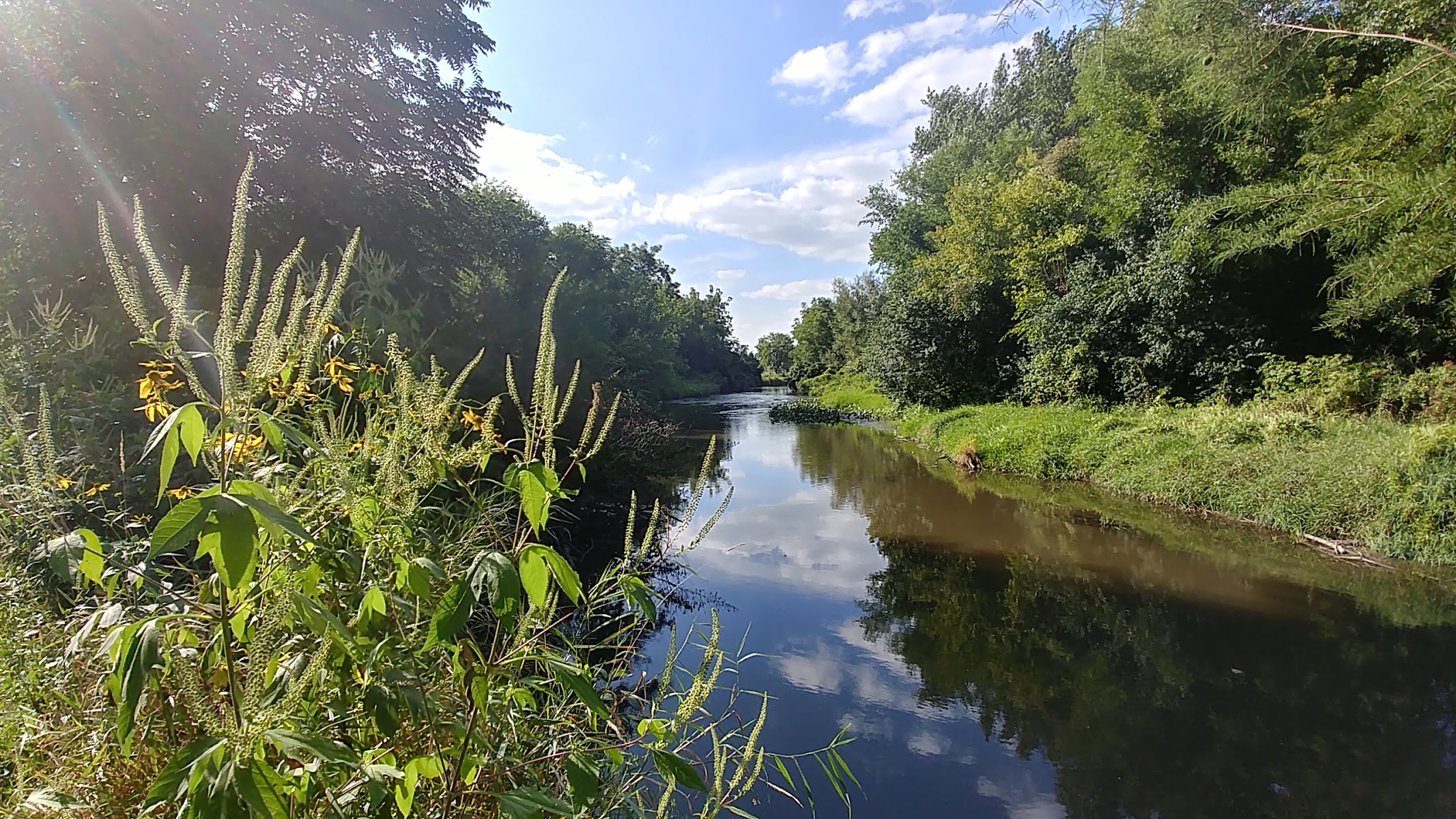 Jericho Lake Park