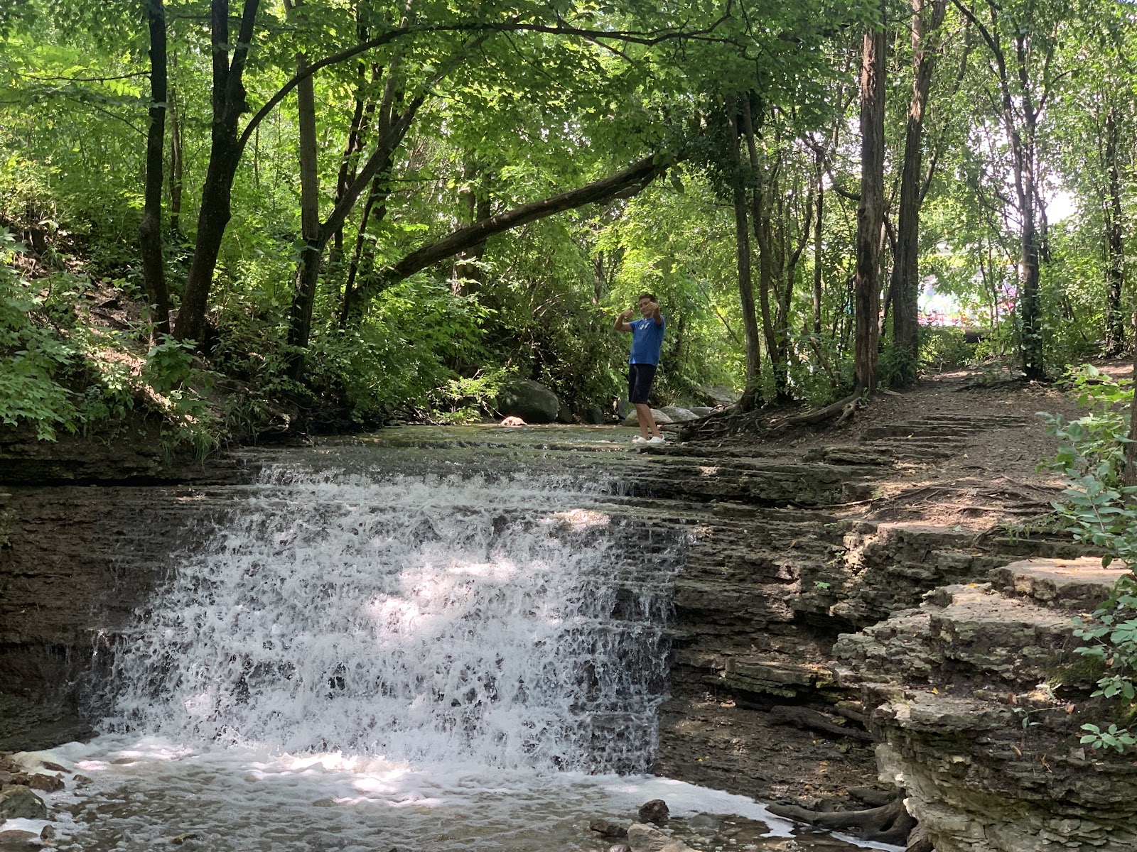 Jon J. Duerr Forest Preserve