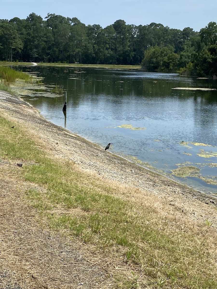 Joseph Tribble Park