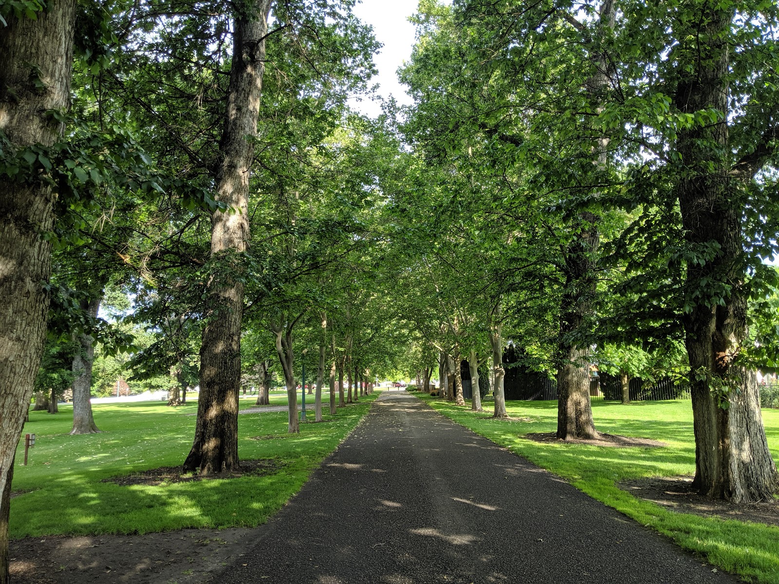 Julia Davis Park
