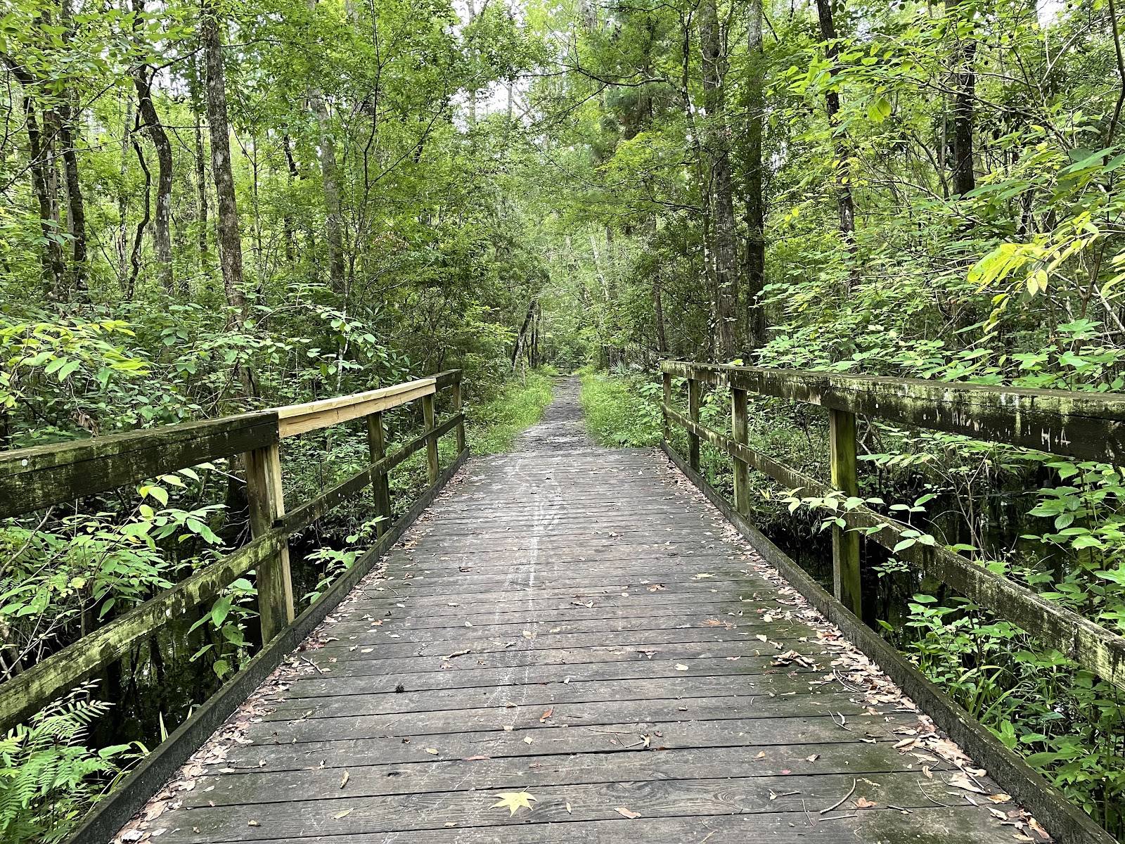 Julington Durbin Creek Nature Preserve
