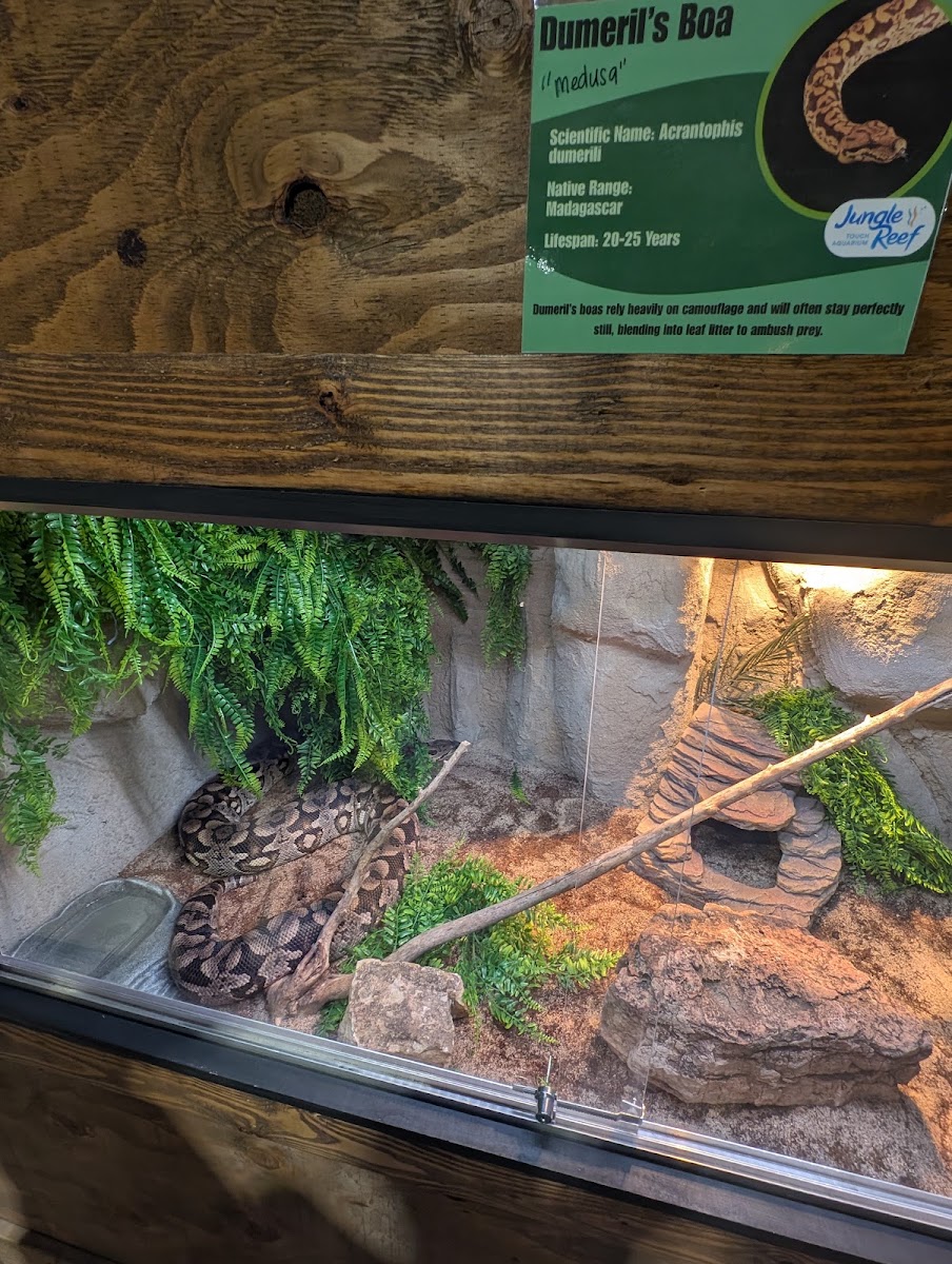 Jungle Reef Touch Aquarium