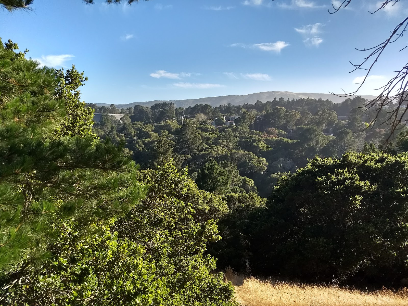 Junipero Serra Park