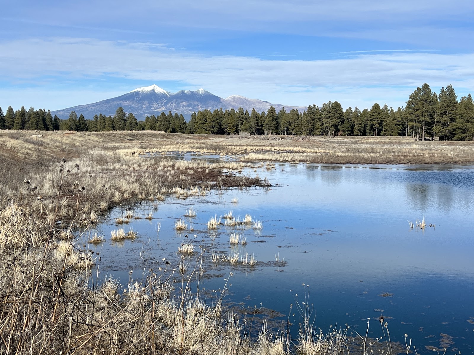 Kachina Wetlands Preserve