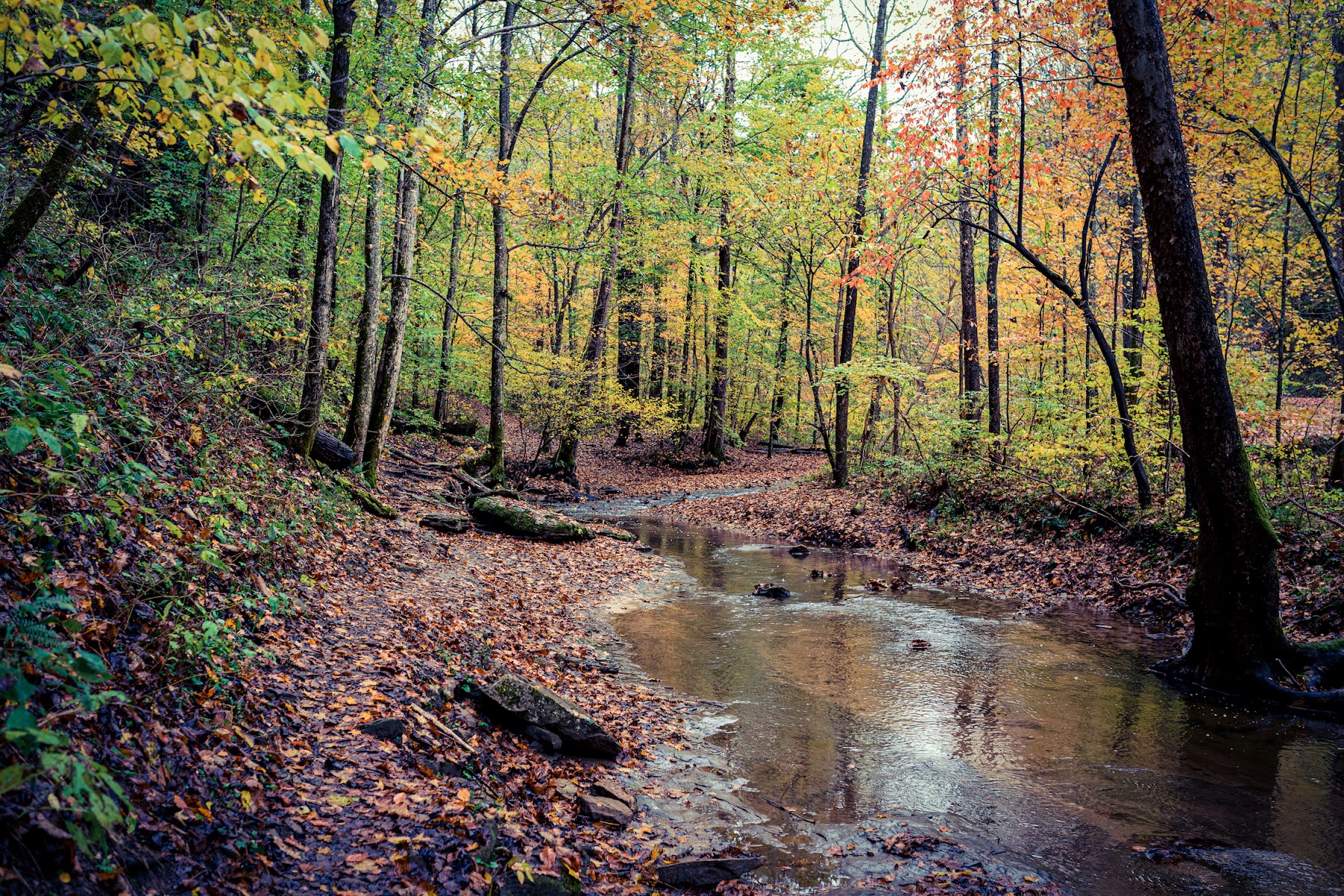 Kanawha State Forest