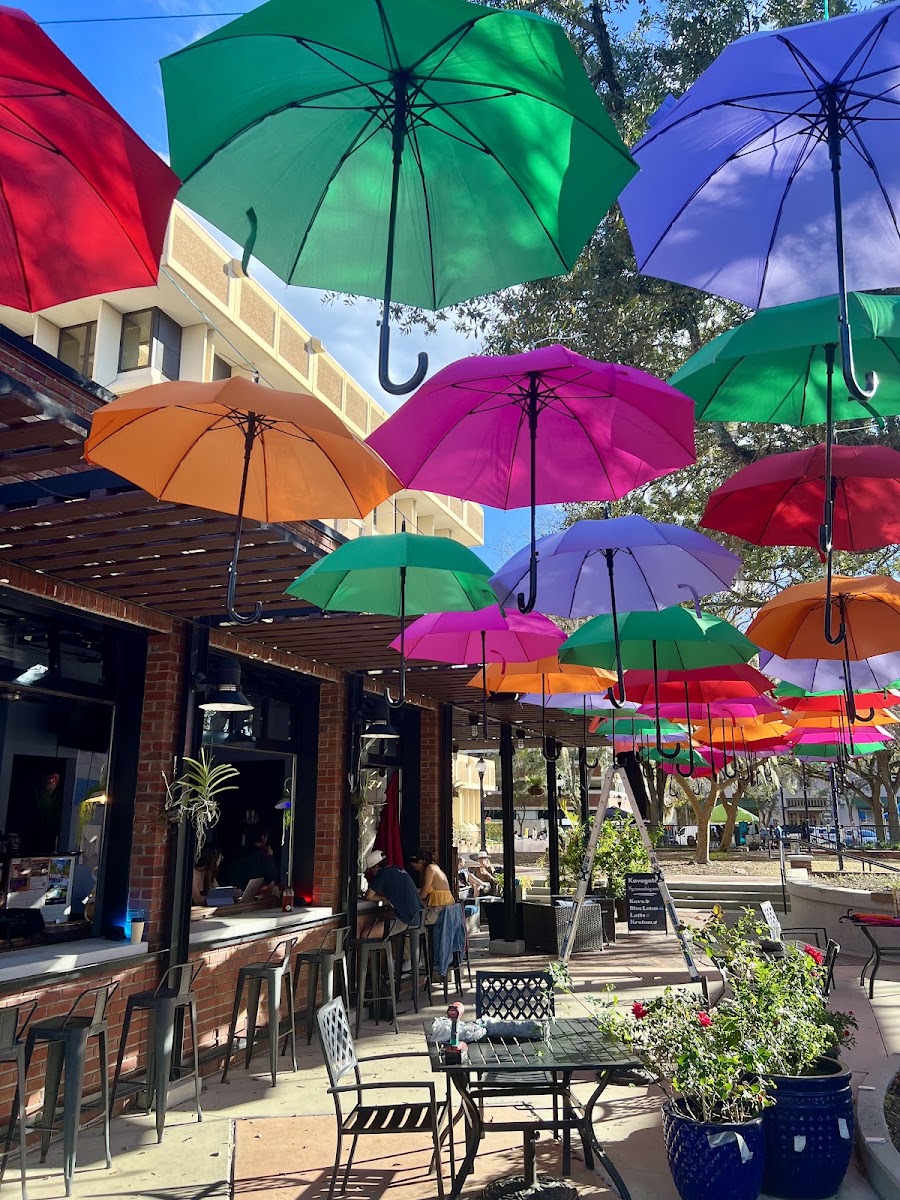 Kava Gator Coffee Shop