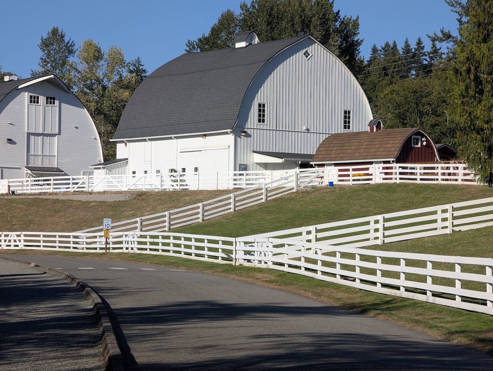 Afternoon at Kelsey Creek Farm in Bellevue