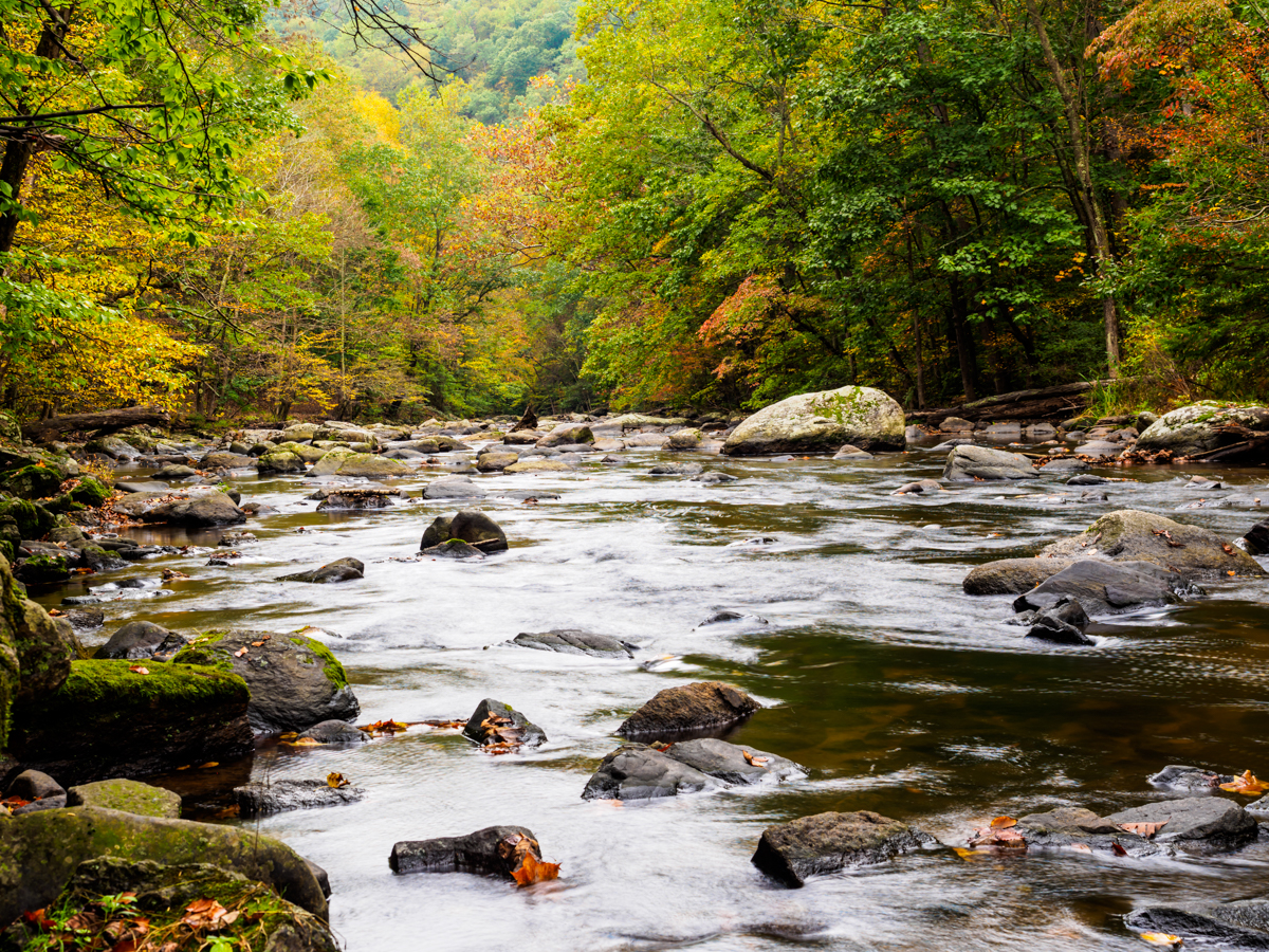 Ken Lockwood Gorge Wildlife Management Area