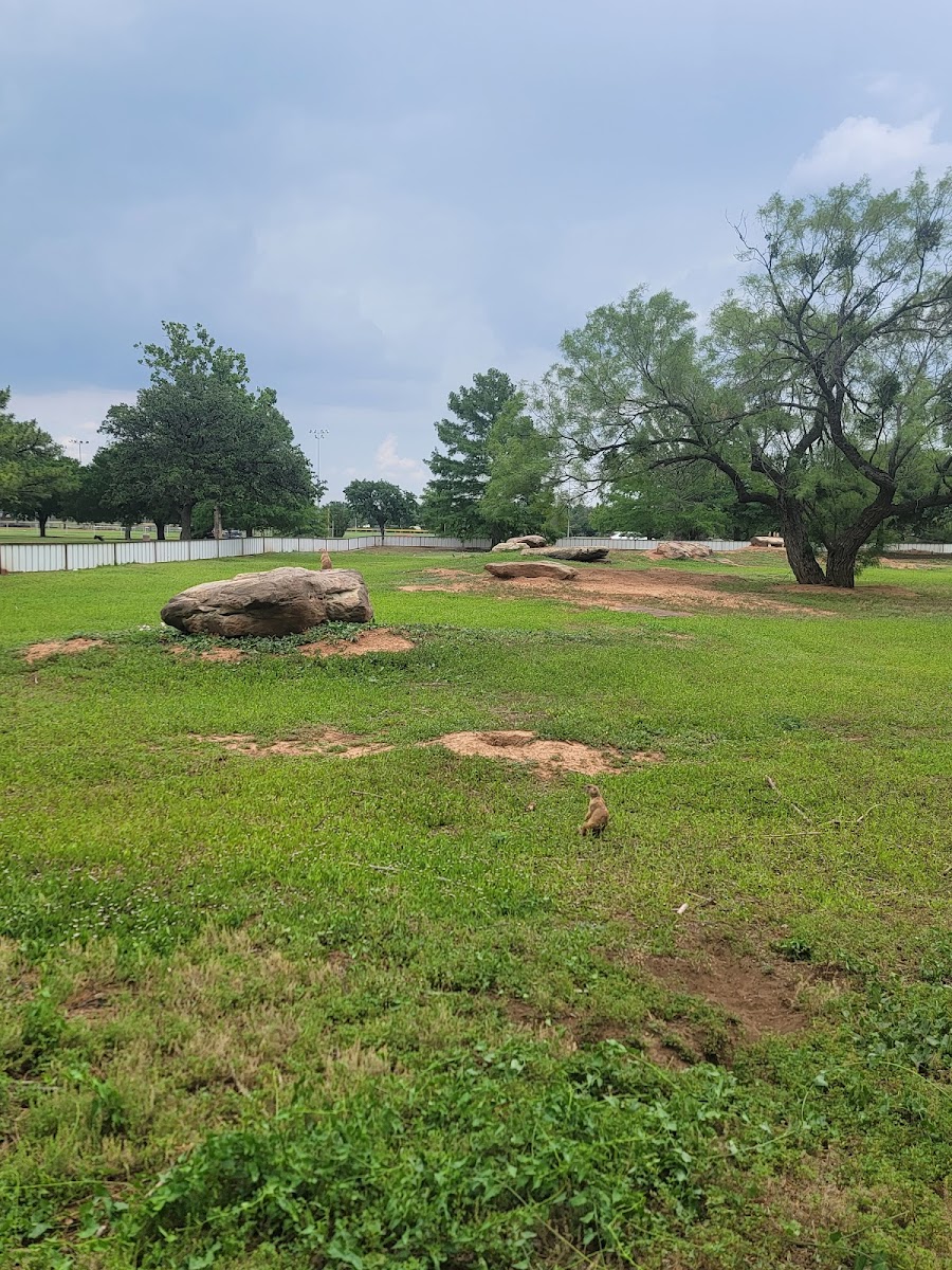 Kiwanis Park
