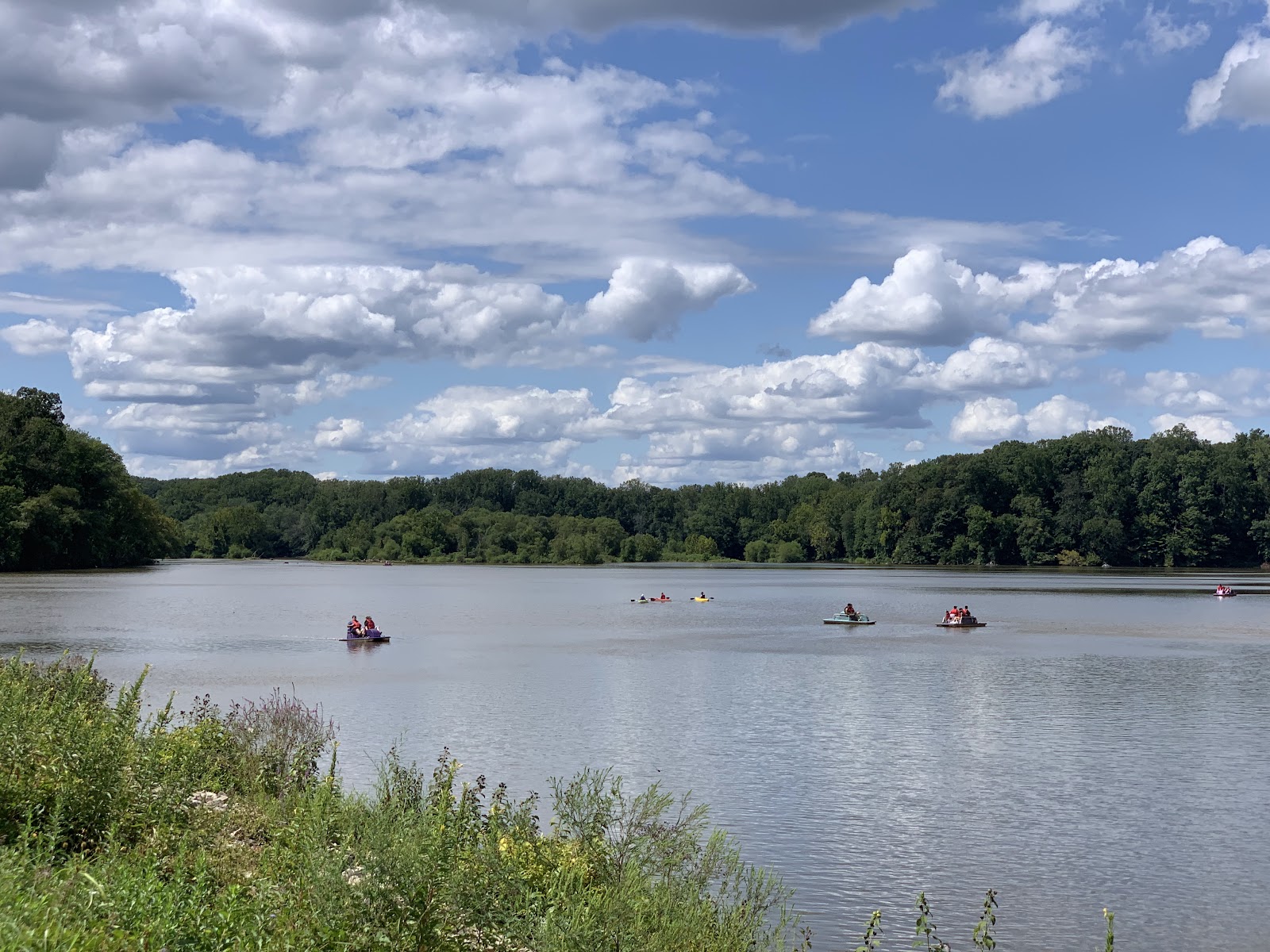 Lake Accotink Park