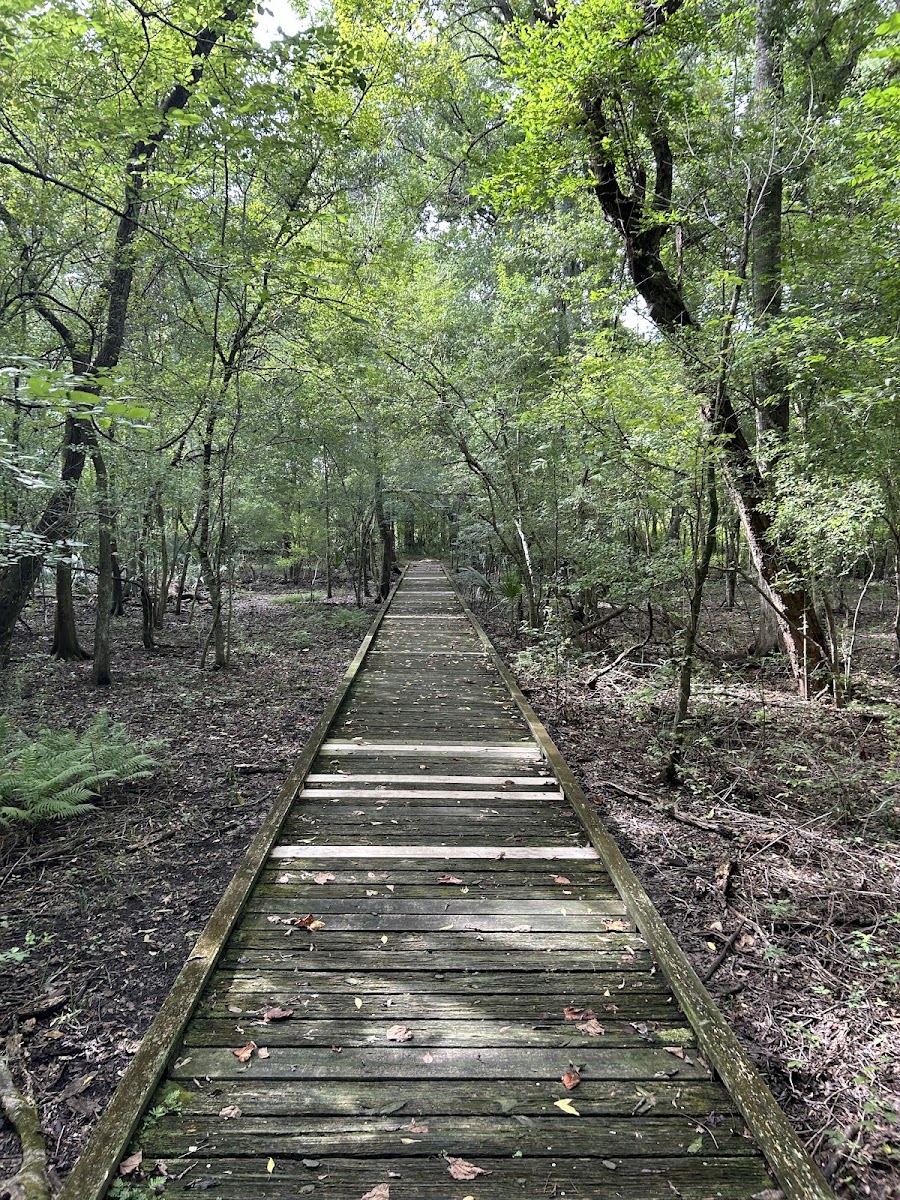 Lake Fausse Pointe State Park
