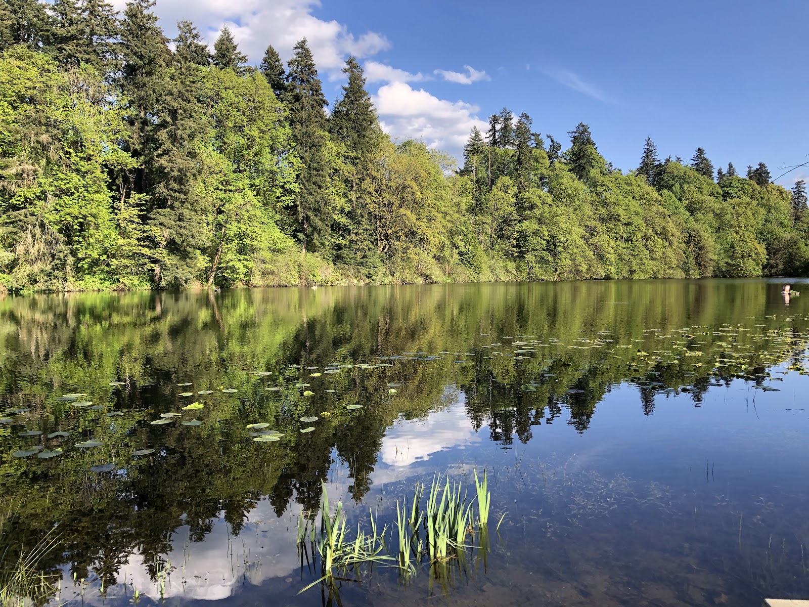 Lake Fenwick Park