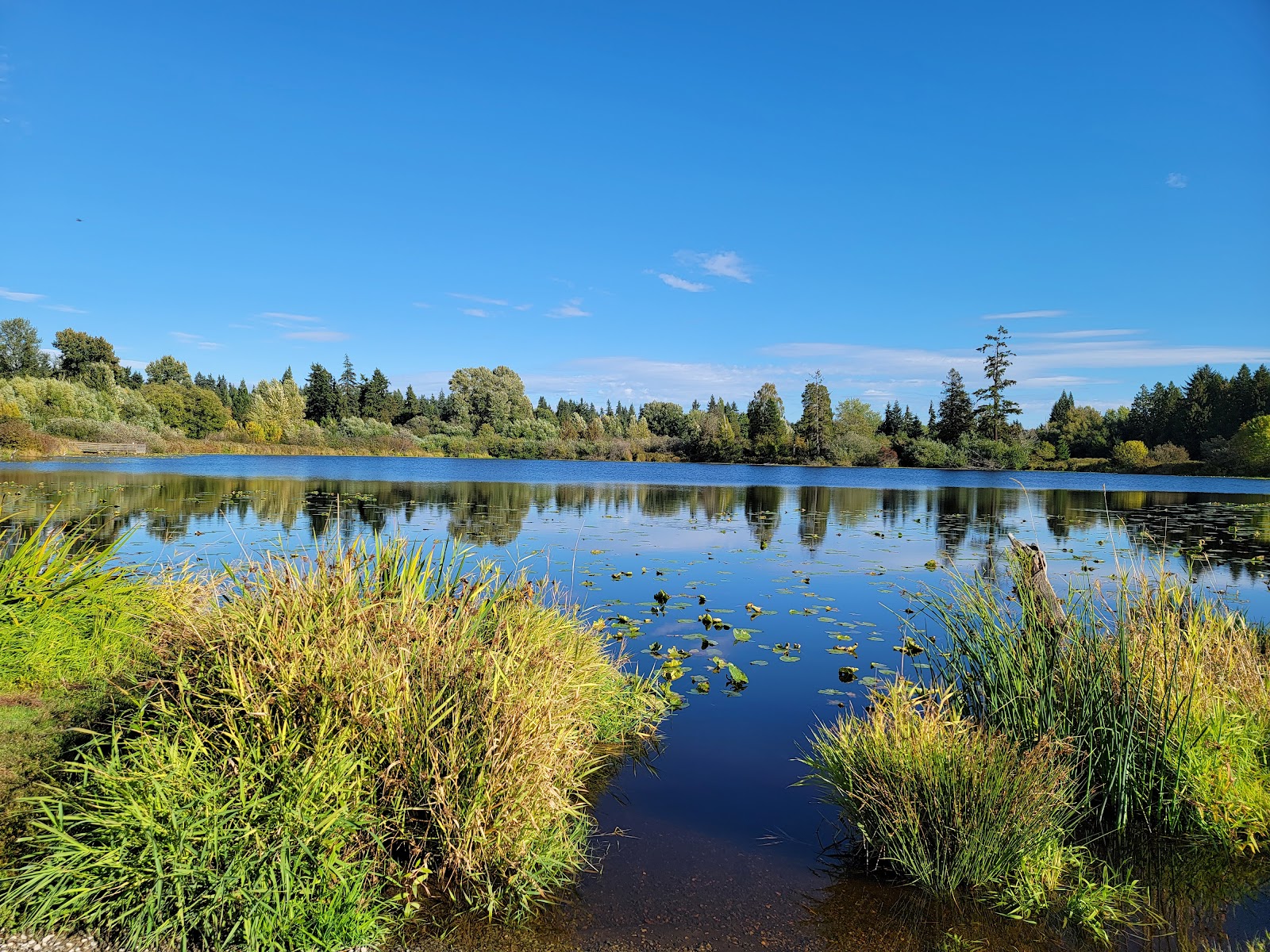 Lake Hills Greenbelt