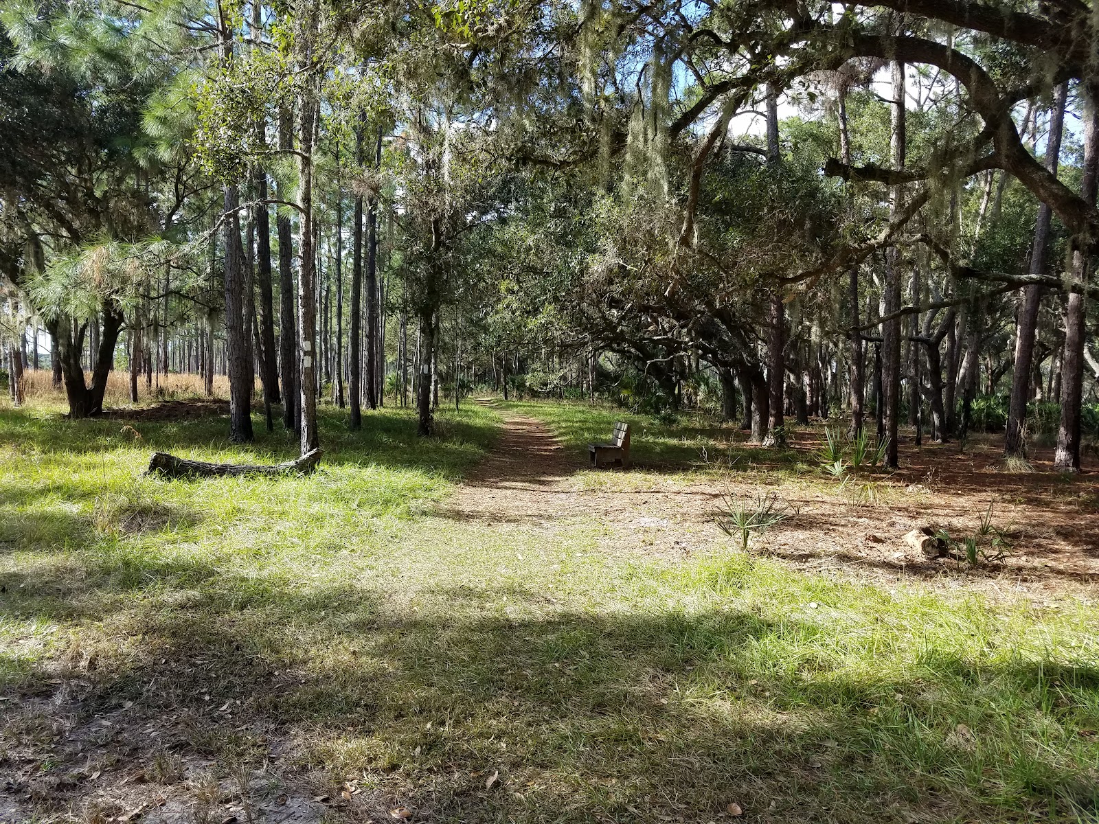 Lake Kissimmee State Park