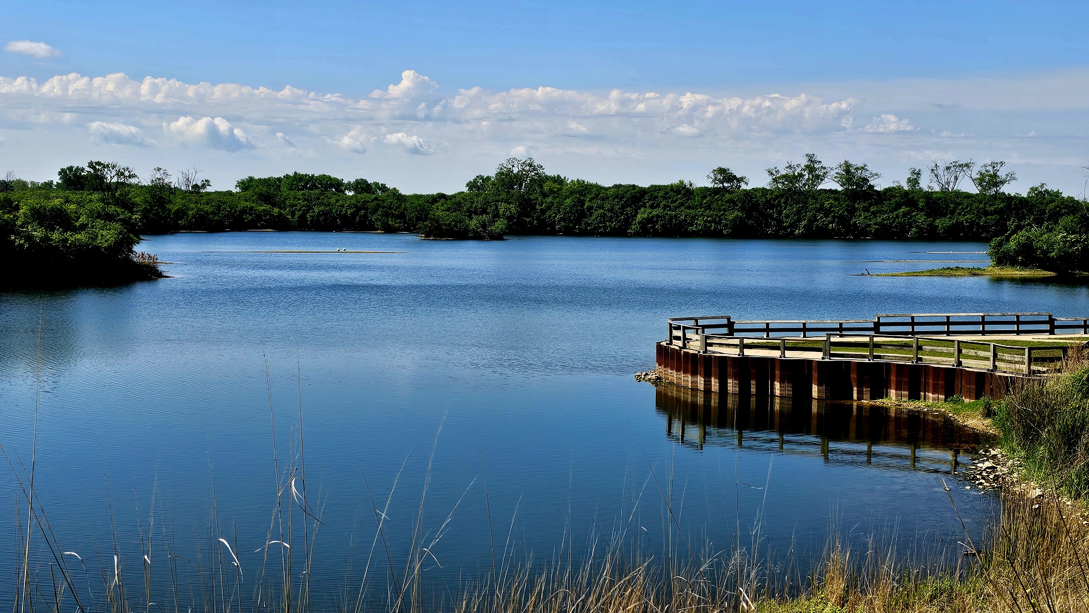Lake Renwick Preserve