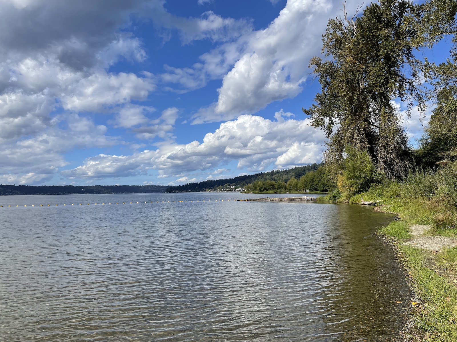 Lake Sammamish State Park