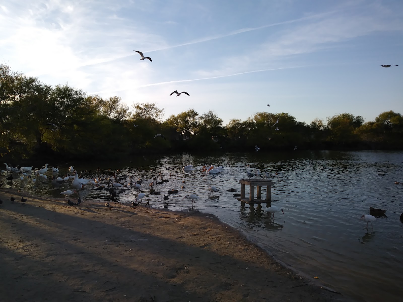 Lakeview Park