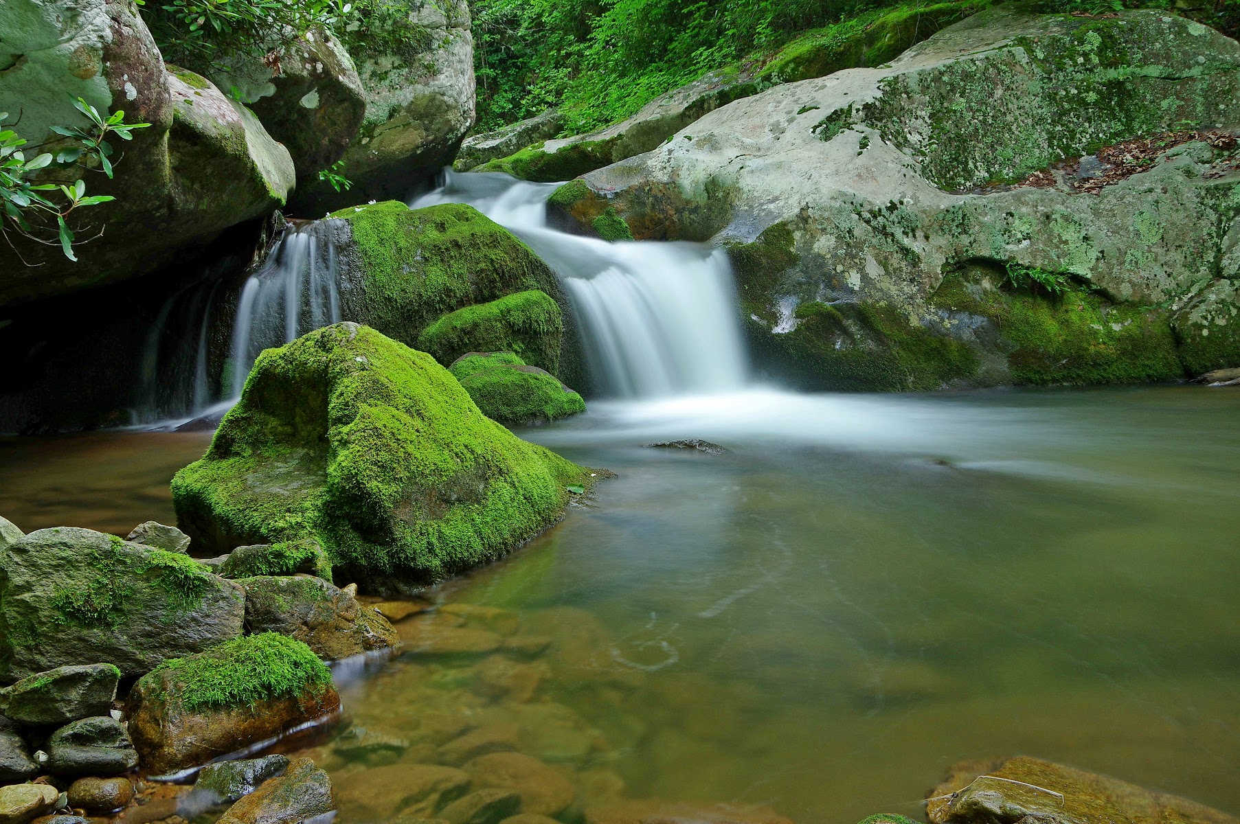 Lamar Alexander Rocky Fork State Park