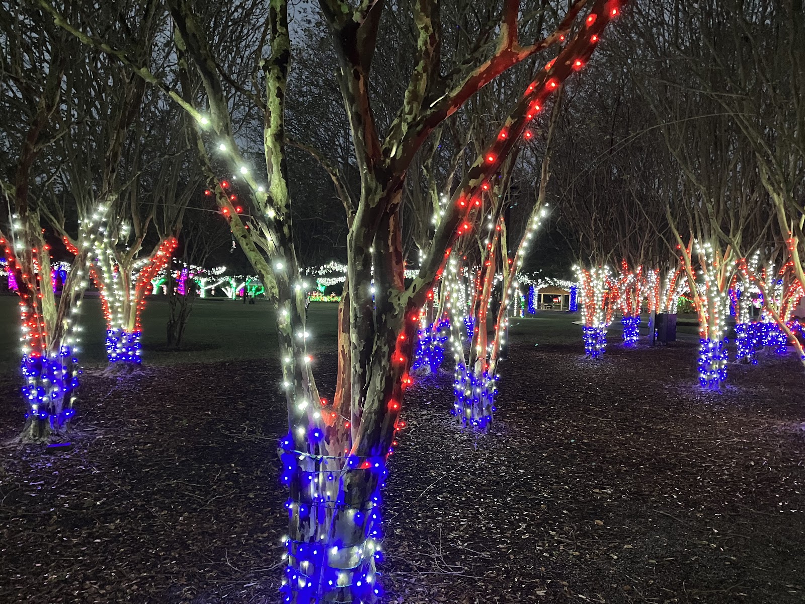 Largo Central Park
