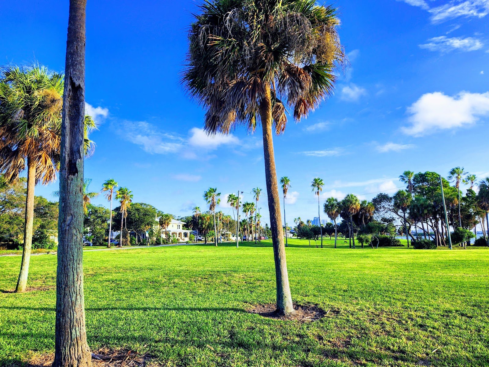 Lassing Park