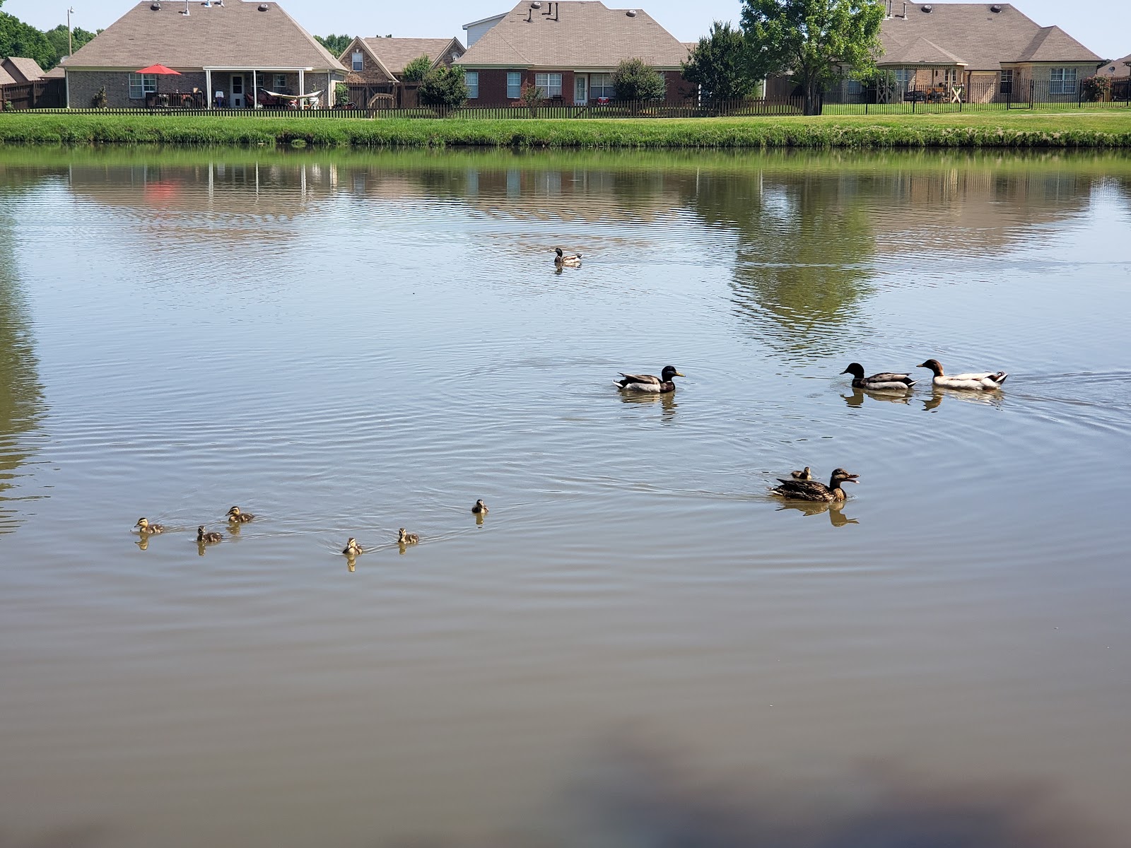 Latimer Lake Park